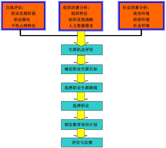 职业生涯发展步骤